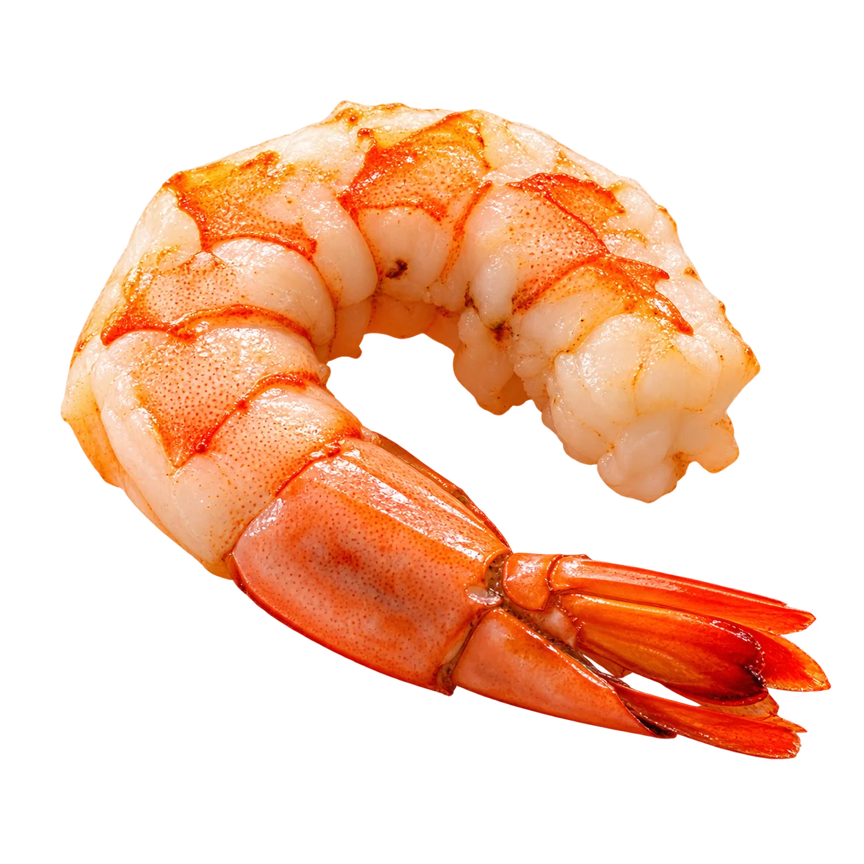 Garnele