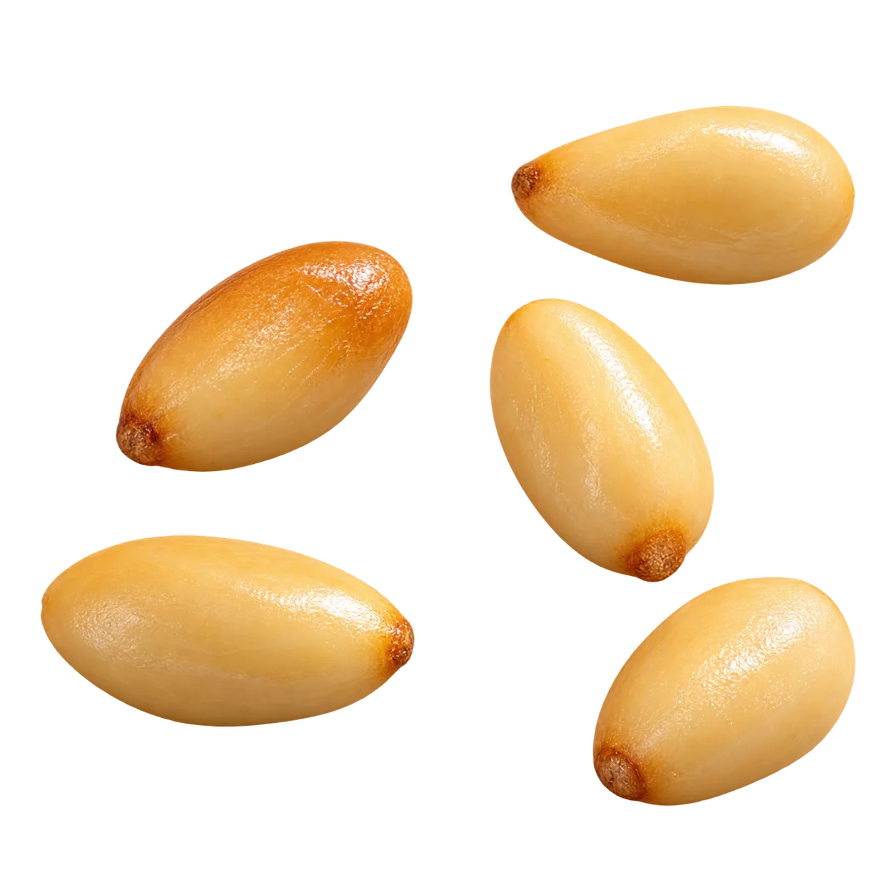 Pinienkerne